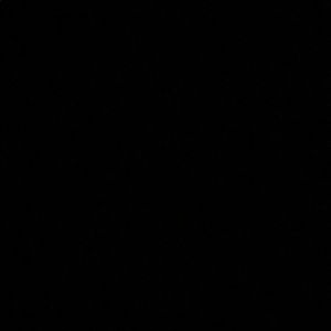 Meet your Posher, Sanela